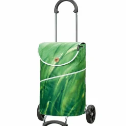 Andersen Shopper Scala Shopper MIX A10 Einkaufstrolley 59 cm