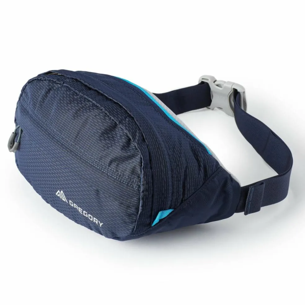 Gregory Nano 3.5 Gürteltasche 33 cm