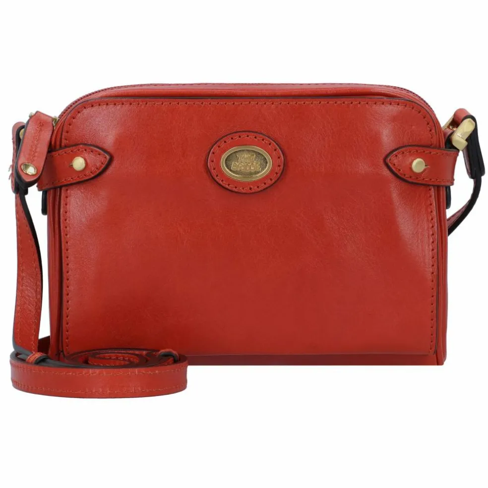 The Bridge Stodo Umhängetasche Leder 22 cm